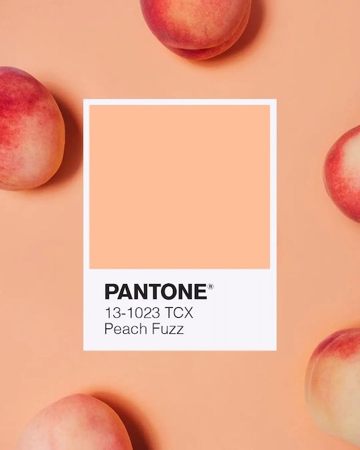 Cloud Dancer: El Color del año 2026 según Pantone 4 Pantone Peach Fuzz