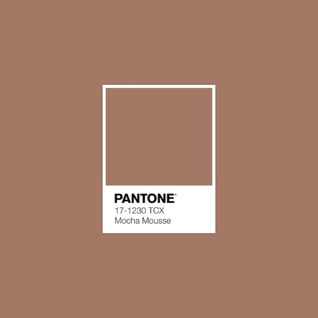 Cloud Dancer: El Color del año 2026 según Pantone 3 Pantone Mocha Mousse