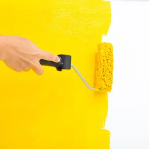 Pinturas de Paredes