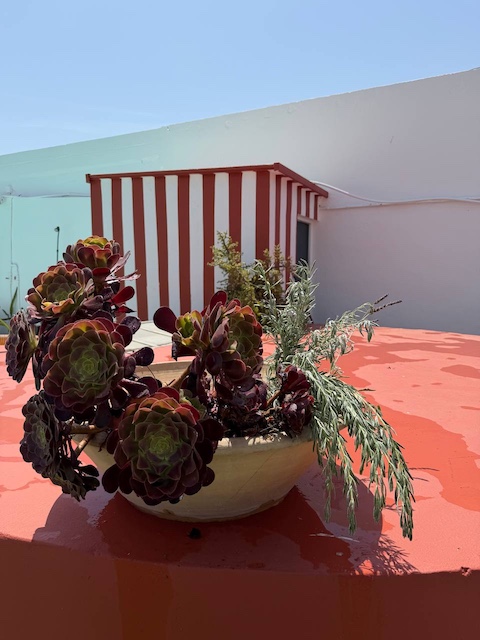 Pintar paredes de exterior: Cómo poner tu terraza a raya
